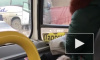 В Ленобласти междугородний автобус врезался в забор на обочине