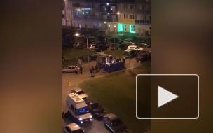 Жители Кудрово заметили группу молодых людей, копающихся в мусоре