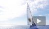 Солнце, волны, ветер и андреналин: в Петербурге прошел Makarov Sailing Cup