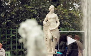 Русский музей не получит 33 млн рублей от Смольного