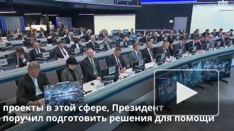 Мишустин поручил тщательно проработать возможность производить аттракционы в России