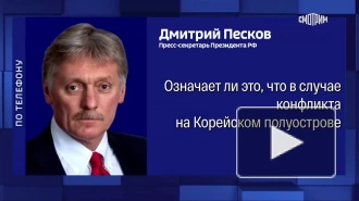 Песков: договор между РФ и КНДР подразумевает сотрудничество во всех сферах