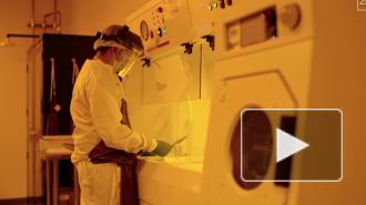 Woke Studio представила робота-хирурга для имплантации чипа Neuralink