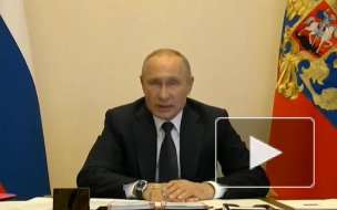 Путин заявил, что России удалось затормозить распространение коронавируса