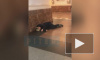 Молодой человек потерял сознание после драки на станции "Маяковская"