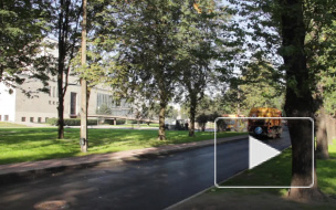 Сквер у ТЮЗа в Петербурге открыли раньше срока