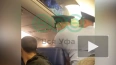 Видео: мужчину сняли с самолета Москва – Уфа из-за ...