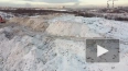 С начала зимы в Петербурге утилизировано 2,5 миллиона ...
