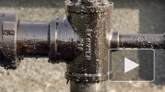 Санкции США помогли России в 2019 году нарастить экспорт нефти