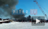 Все происшествия Петербурга за 15 февраля: фото и видео 