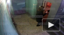 Видео: в Петербурге мать похитила собственного ребёнка у бывшего мужа