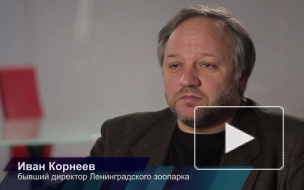 Тайны ленинградского зоопарка: после смерти животные становятся экспонатами музея