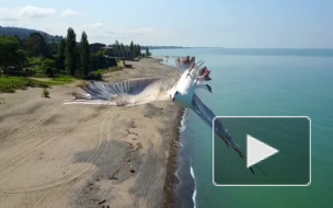 Уникальное видео из Сочи: увернувшаяся от дрона чайка стала звездой соцсетей