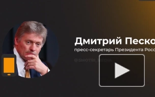 Песков: ЦБ и правительство принимают меры для снижения инфляции