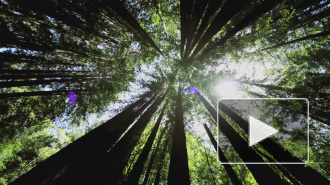 Жители России поделились планами на осенний отдых