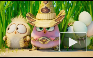 Вышел новый трейлер "Angry Birds в кино 2"