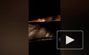 В Приморье произошел пожар в природном парке "Хасанский"