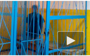 В Челябинске дали 8 месяцев колонии 31-летнему мужчине, который спал с 12-летней девочкой