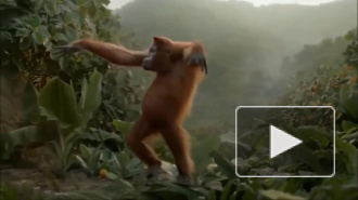 Когда Реал вылетел из Кубка Испании 