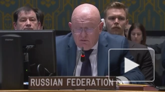 Небензя: устранение угрозы для России с Украины не устроило бы Запад