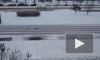 Петербургские коммунальщики уничтожают снег вместе с газоном, оставив тротуары в покое
