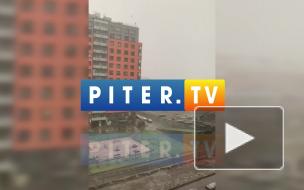 Стабильный снежный покров ожидают в Петербурге в середине ноября