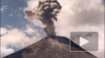 Камчатский вулкан Шивелуч засыпал пеплом поселки