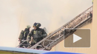 Пятеро петербуржцев чуть не сгорели в пожаре на Каменоостровском