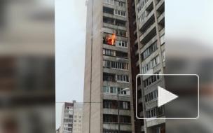 В коммуналке на проспекте Большевиков произошел пожар на балконе