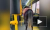 СМИ: Лошадь прокатилась в салоне пассажирского автобуса в Алма-Ате