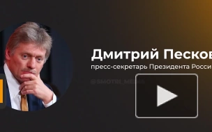 В Кремле позитивно восприняли сообщение о помиловании россиянки Сапеги