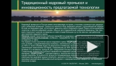Презентация