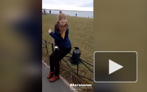 Видео: на улице Маршала Казакова ворона заигрывала с девушкой