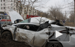 Видео жесткого ДТП: иномарка протаранила дерево в Волгограде 
