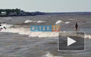 Во Всеволожском районе утонул ребенок