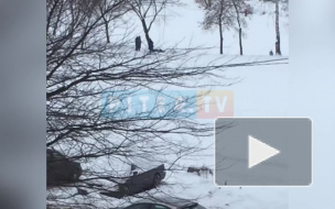 В парке Интернационалистов нашли труп лыжника