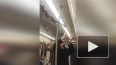 В петербургском метро вновь заметили змею