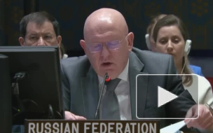 Небензя прокомментировал требования России к Украине