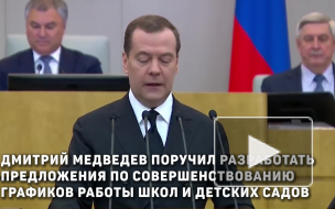 Медведев поручил усовершенствовать график работы школ и детских садов