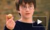 Сервис HBO Max лишится прав на показ фильмов о Гарри Поттере