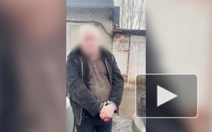 ФСБ изъяла у петербуржца 15 кг кокаина, оружие и поддельные документы