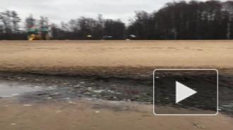 На Дубковском пляже в Сестрорецке горы мусора ликвидируют в среду