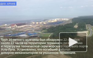 В Усть-Луге портового докера затянуло в ленточный конвейер