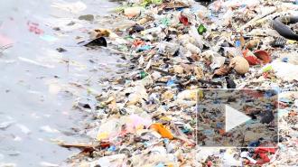 Микропластик оказался способен накапливаться в органах человека