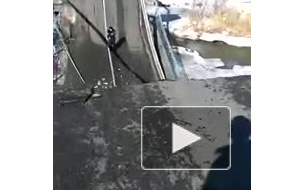Власти Приморья назвали предполагаемого виновника обрушения моста на трассе