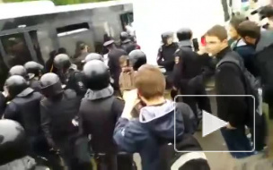 Видео: Смольный объяснил, откуда взялись маршрутки на Марсовом поле