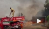 В Турции локализовали 42 очага возгорания в лесах 