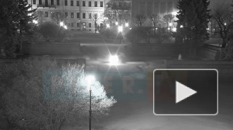 Полиция разыскала женщину, потушившую Вечный огонь в центре Петербурга