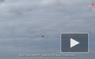 Артиллеристы при помощи "Гиацинта" уничтожили склады с боеприпасами ВСУ
