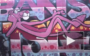 Розовая пантера с огромными яйцами поселились в разрушенном заводе слоистых пластиков